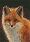 (image for) Sly Guy